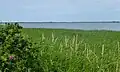 Blick von Hindø auf den Stadil Fjord (Foto 2012)