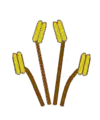 Didynamisch (didynamous)