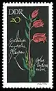 Briefmarke aus der Serie Geschützte heimische Pflanzen (DDR 1966)