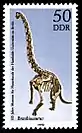 1990 Brachiosaurus Skelett