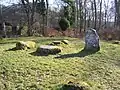 Steine im Cemetery wood
