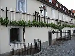 Die Stara trta im Frühjahr