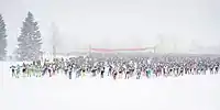 Startfeld König Ludwig Lauf