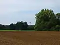 Quellgebiet des Starzelbachs nahe dem Fernmeldeturm Schöngeising