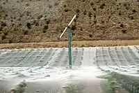Stationäre Windmaschine in Neuseeland. (Der Weingarten ist bis zur Ernte mit einem weißen Vogelschutznetz abgedeckt.)