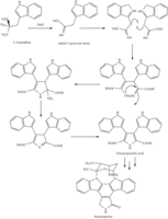 Biosynthese von Staurosporin