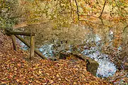Halbachhammerteich im Herbst