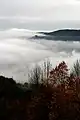 Pöllauer Tal im Nebel