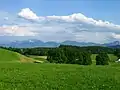 Tal des Steinbachs südlich von Untersiffelhofen. Links im Hintergrund die Benediktenwand.