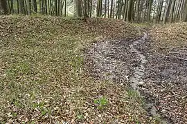 Reste der ehemaligen Aufstauung