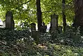 Jüdischer Friedhof Steinheim