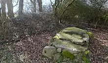 Steinkistengrab von Heerstedt