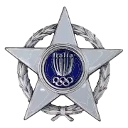 Stella al merito sportivo Silber