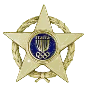 Stella al merito sportivo Gold