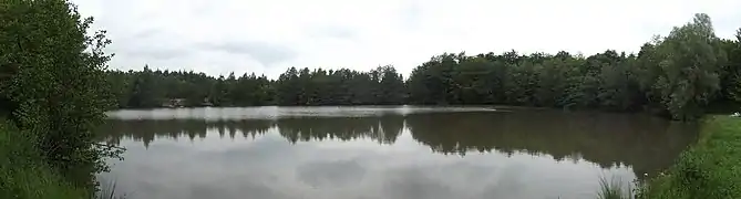Panoramabild des Stellbergsees