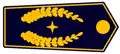 stellvertretender Kreisbrandmeister