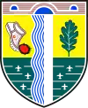 Wappen von Bilisht
