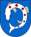Forelle in Aufsicht (Schopfheim-Langenau)