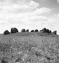 Der Stenadansen
