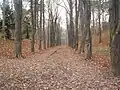 Alte Schießanlagen im Stephanspark