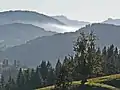 Schwanden