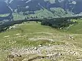 Stn. Jatzmeden-Rinerhorn und Bergstation Juonli auf der Westflanke.