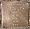 Dora Rosa Lewina