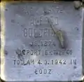 Stolperstein für Alfred Goldfisch (Titusstraße 10)