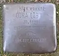 Stolperstein für Dora Löb (Werderstraße 5)