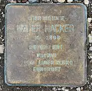 Maier Hacker