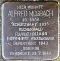 Stolperstein für Alfred Mosbach (Rheinaustraße 18)