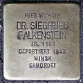 Stolperstein für Dr. Siegfried Falkenstein (Salierring 3)
