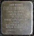 Stolperstein für Ester Steinbock (Thieboldsgasse 6)