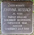 Stolperstein für Johanna Mosbach (Rheinaustraße 18)