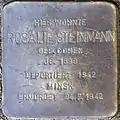 Stolperstein für Rosalie Steinmann (Nikolausplatz 5)