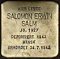 Stolperstein für Salomon Erwin Salm (Moselstraße 44)