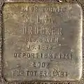 Stolperstein für Selma Drucker (Lochnerstraße 9)
