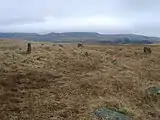 Brat’s Hill