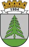 Wappen von Storoschynez