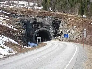 Storvikskartunnelen