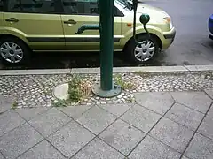 Wolfsäule