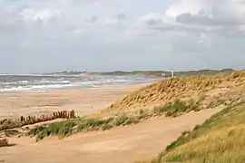 Nordende des Dünengebiets mit Blick Richtung Norden