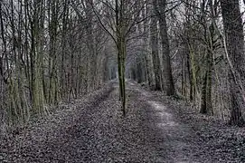 Nahe Münchrath,Blickrichtung Süden