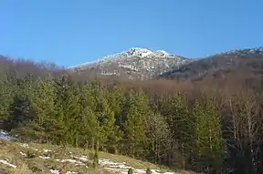 Der Berg Strážov (1213 m n.m.)