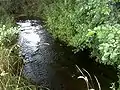 Unregulierter Abschnitt bei Niedergrumbach