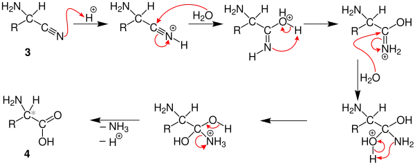 Mechanismus der Strecker-Synthese 2. Teil