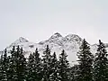 Winterimpression