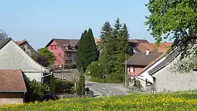 Strohwilen