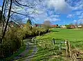 Struck - Osthang zum Baisiepen
