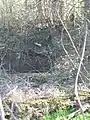 Absturz (in Ex-Teich)